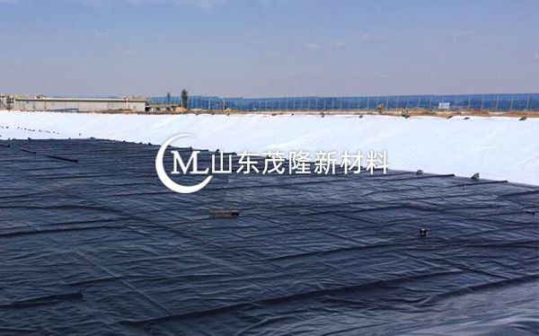 《衡水主城區(qū)生態(tài)修復工程》土工布、復合土工布施工