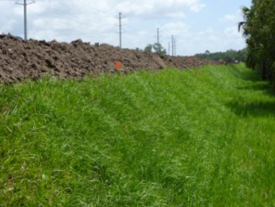 四川巴中多雨潮濕，土工格柵為道路擴(kuò)建出力  第2張